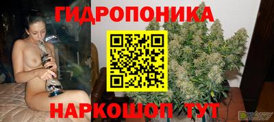 дмт Канаш