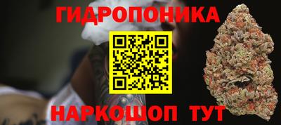 дмт Канаш