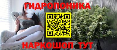 дмт Канаш