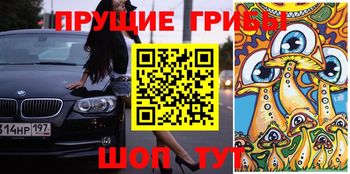 дарнет шоп  Вход с VPN  Галлюциногенные грибы прущие грибы  Лиски  Галлюциногенные грибы GOLDEN TEACHER 